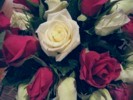 Wedding Flowers for your special day